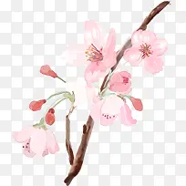 ��ɫˮ�ʿ���÷��-������