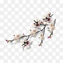 春节梅花树枝-空若网 春节梅花树枝-空若网
