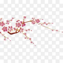粉色一枝梅-空若网 粉色一枝梅-空若网