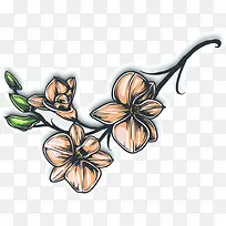 ˮ�ʻ���÷��ֲ��-������