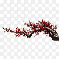 ��֦-������