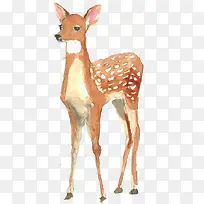 创意水彩合成梅花鹿-空若网 创意水彩合成梅花鹿-空若网