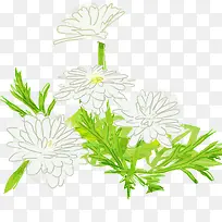 手绘花卉-空若网 手绘花卉-空若网