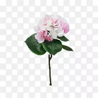 �л�����ֲ���򻨣�õ��-����-������