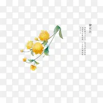 �ֻ滨��-������