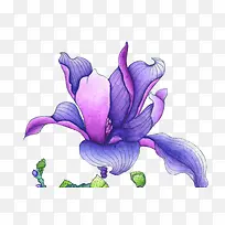 水彩花朵-空若网 水彩花朵-空若网