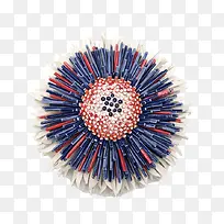 ���⻨��-������