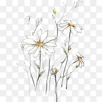 彩绘白色花卉-空若网 彩绘白色花卉-空若网