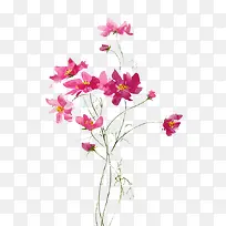 手绘花卉-空若网 手绘花卉-空若网