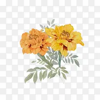 �����ֻ�-������