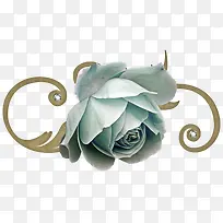 花草设计素材手绘花卉素材-空若网 花草设计素材手绘花卉素材-空若网