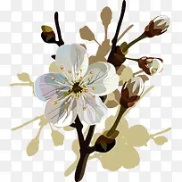 水彩花卉-空若网 水彩花卉-空若网