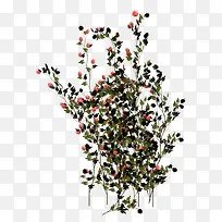 花卉线描ps花草素材-空若网 花卉线描ps花草素材-空若网