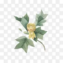 �����ֻ�-������