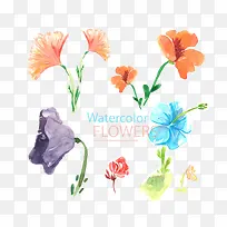 水彩花卉-空若网 水彩花卉-空若网