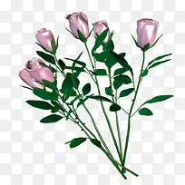 唯美花草图片水彩花草素材-空若网 唯美花草图片水彩花草素材-空若网