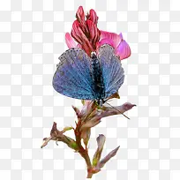 Ψ������ͼƬΨ������ͼƬ-������