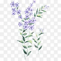 手绘-空若网 手绘-空若网