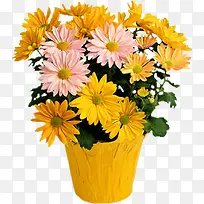 手绘花卉素材装饰图标-空若网 手绘花卉素材装饰图标-空若网