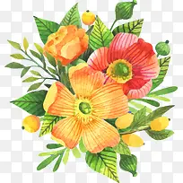 �ֻ滨��-������