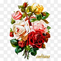 �ֻ�װ���ز�ʸ�������ز�-������