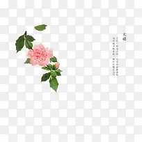 手绘花卉-空若网 手绘花卉-空若网