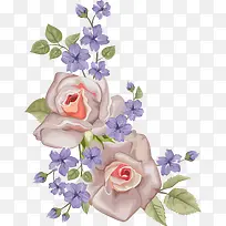 �ֻ滨��-������