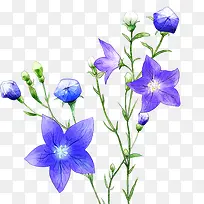 �ֻ滨��-������