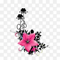 时尚花卉-空若网 时尚花卉-空若网