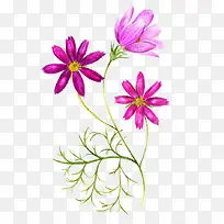 水彩手绘花卉图案-空若网 水彩手绘花卉图案-空若网