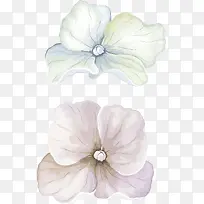 ¿¨Í¨Ë®²Ê»¨»Ü×°ÊÎ-¿ÕÈôÍø ¿¨Í¨Ë®²Ê»¨»Ü×°ÊÎ-¿ÕÈôÍø