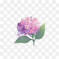 �ֻ��ʻ�����-������