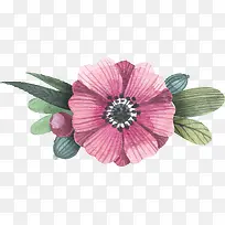 矢量水彩彩绘花卉-空若网 矢量水彩彩绘花卉-空若网