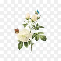 Ë®²Êĵµ¤-¿ÕÈôÍø Ë®²Êĵµ¤-¿ÕÈôÍø