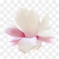 花草矢量素材水彩花卉素材-空若网 花草矢量素材水彩花卉素材-空若网