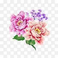 水彩花卉艺术装饰图案-空若网 水彩花卉艺术装饰图案-空若网