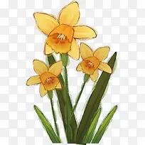 黄色水彩手绘花卉图案-空若网 黄色水彩手绘花卉图案-空若网