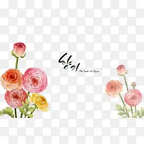 水彩花卉-空若网 水彩花卉-空若网