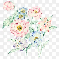 手绘-空若网 手绘-空若网