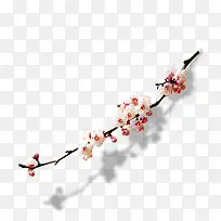 桃花-空若网 桃花-空若网