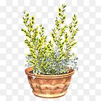 花卉画花卉素材-空若网 花卉画花卉素材-空若网