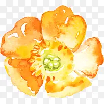 水彩花卉-空若网 水彩花卉-空若网