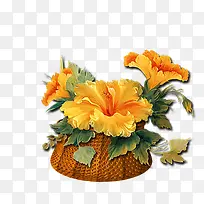 水彩花卉素材花卉图案-空若网 水彩花卉素材花卉图案-空若网