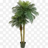 花草矢量素材线描花卉-空若网 花草矢量素材线描花卉-空若网