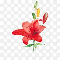 ˮīˮ�ʻ���-������