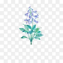 唯美手绘鲜花-空若网 唯美手绘鲜花-空若网