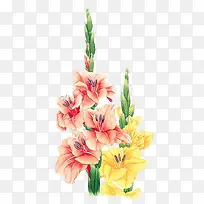 手绘唯美鲜花-空若网 手绘唯美鲜花-空若网