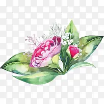 ˮ�ʻ���-������