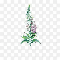 唯美手绘鲜花-空若网 唯美手绘鲜花-空若网