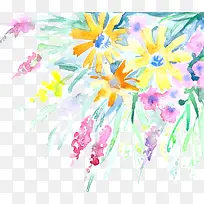 矢量水彩花卉-空若网 矢量水彩花卉-空若网